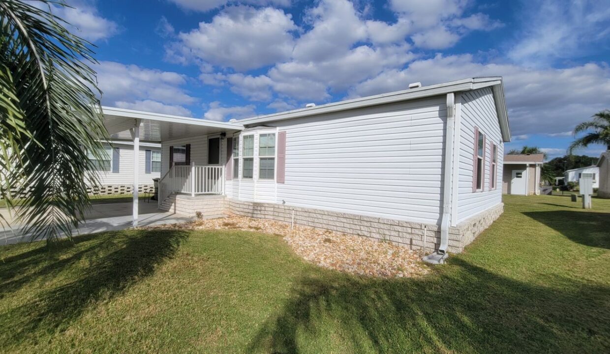 620 Yellow Cypress - sp06