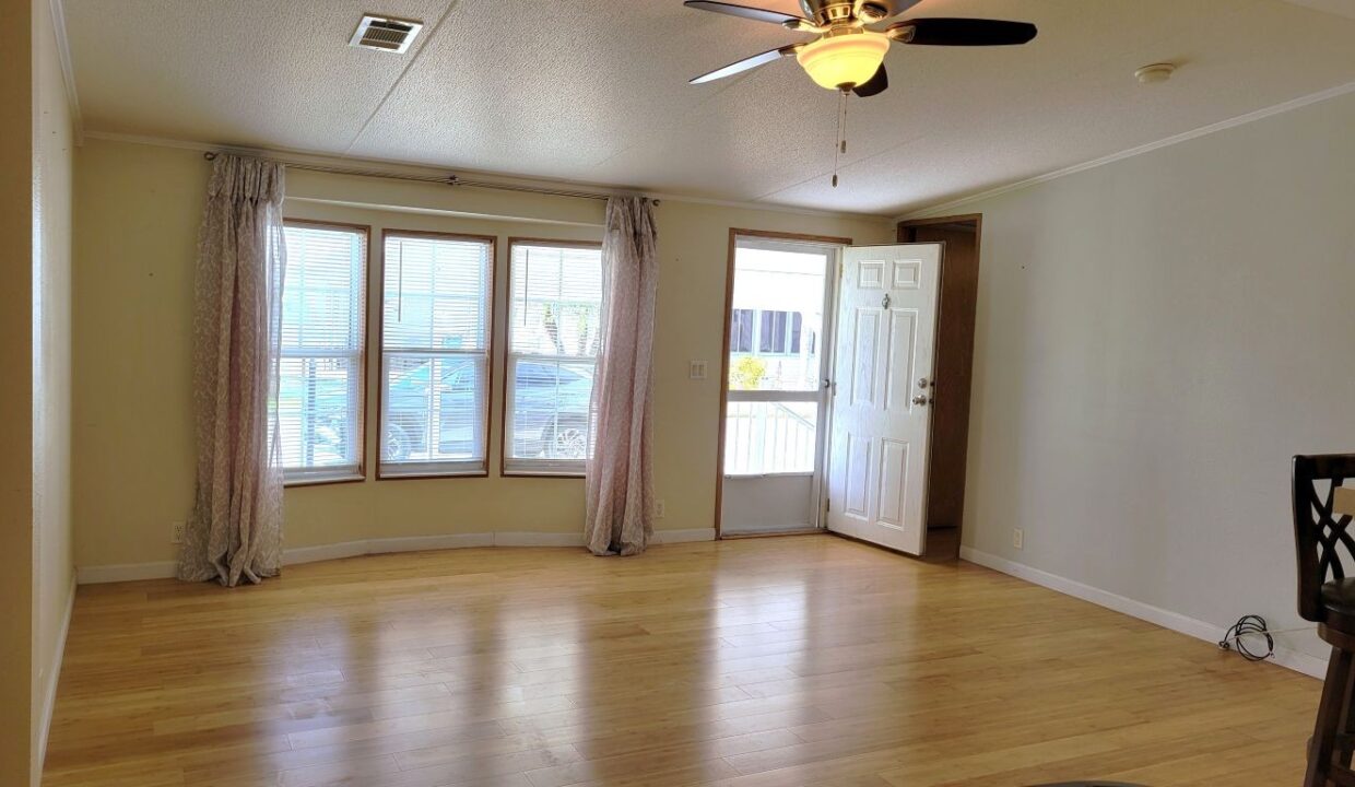 620 Yellow Cypress - sp08