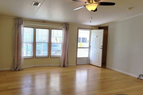 620 Yellow Cypress - sp08