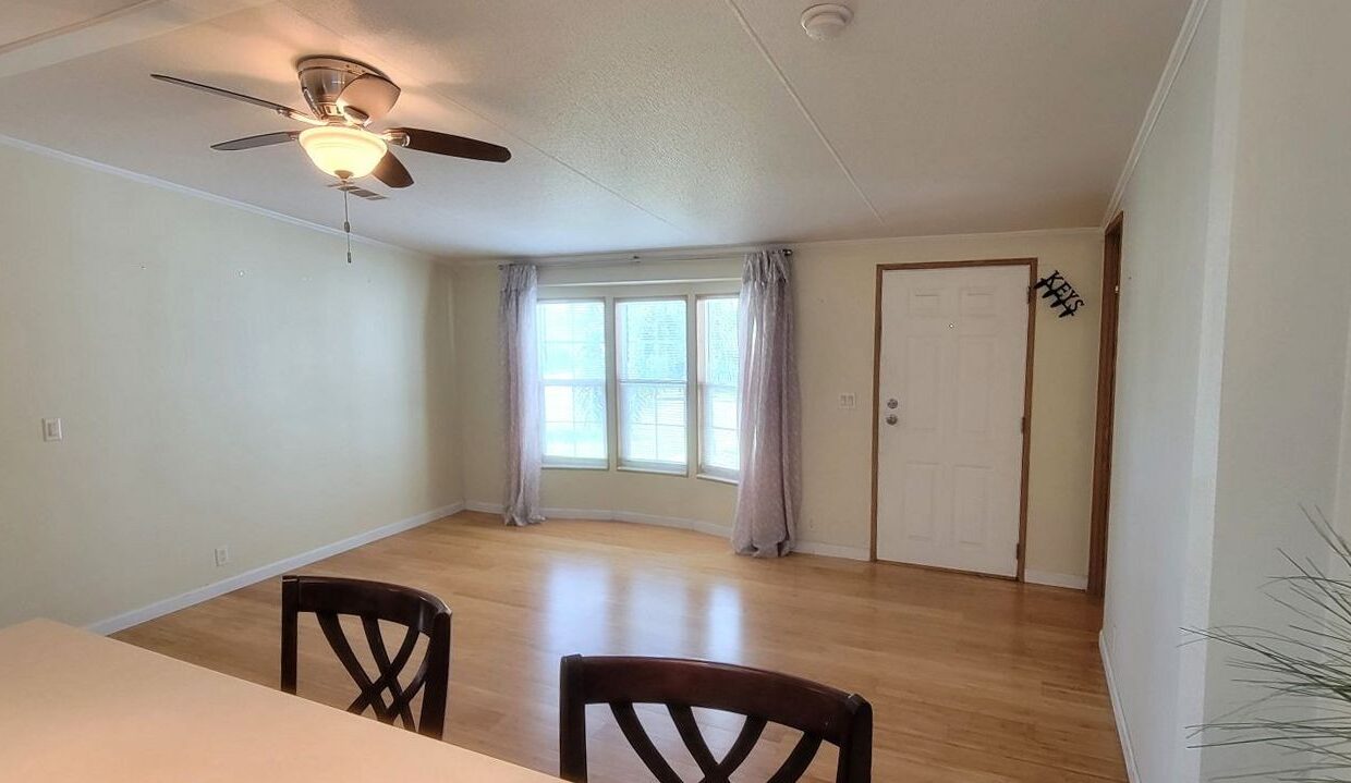 620 Yellow Cypress - sp10