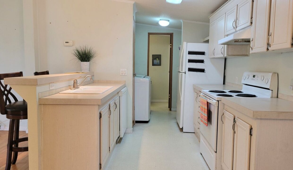 620 Yellow Cypress - sp15