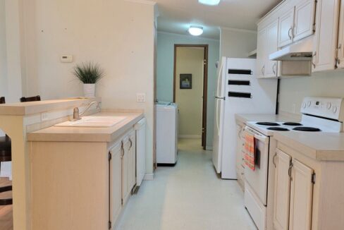 620 Yellow Cypress - sp15