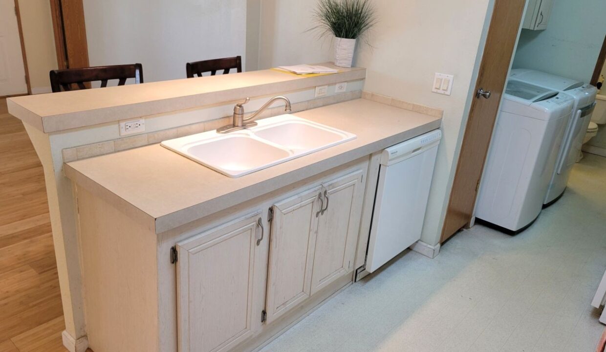 620 Yellow Cypress - sp16