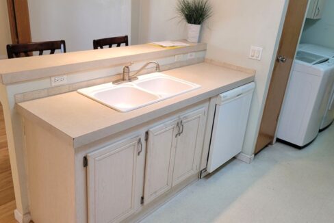 620 Yellow Cypress - sp16