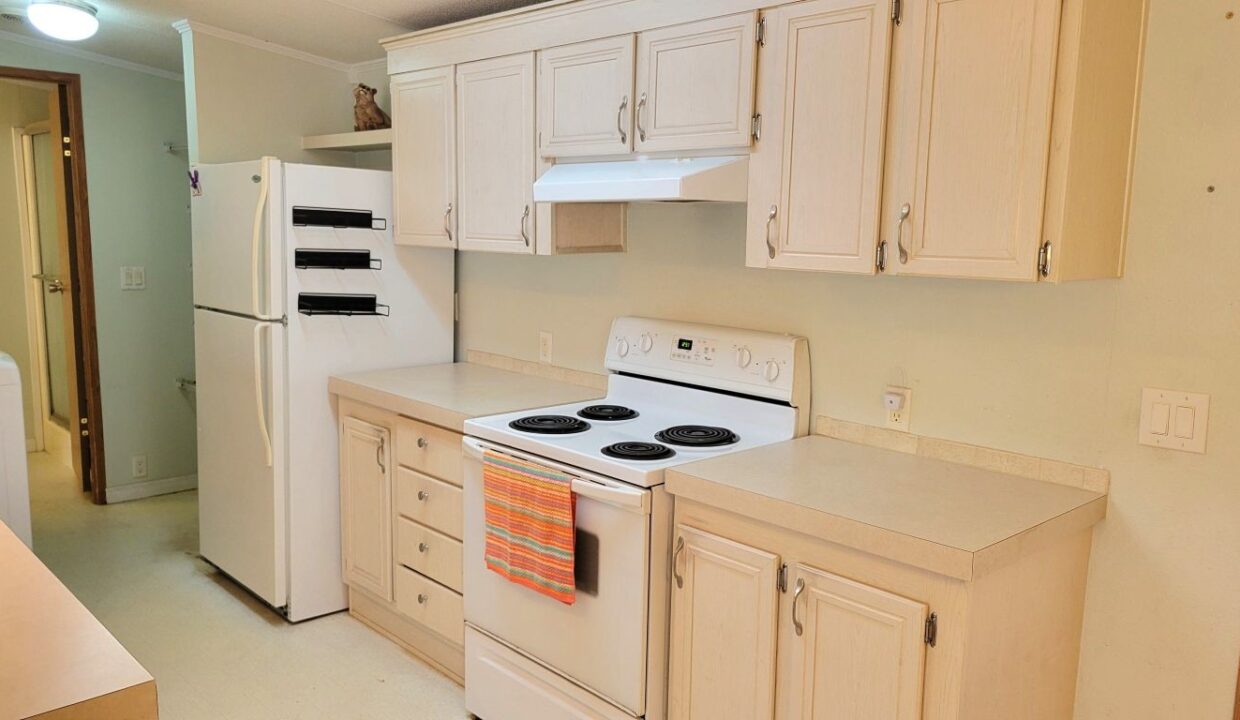 620 Yellow Cypress - sp17