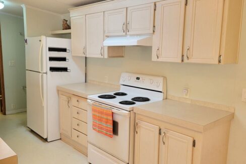 620 Yellow Cypress - sp17