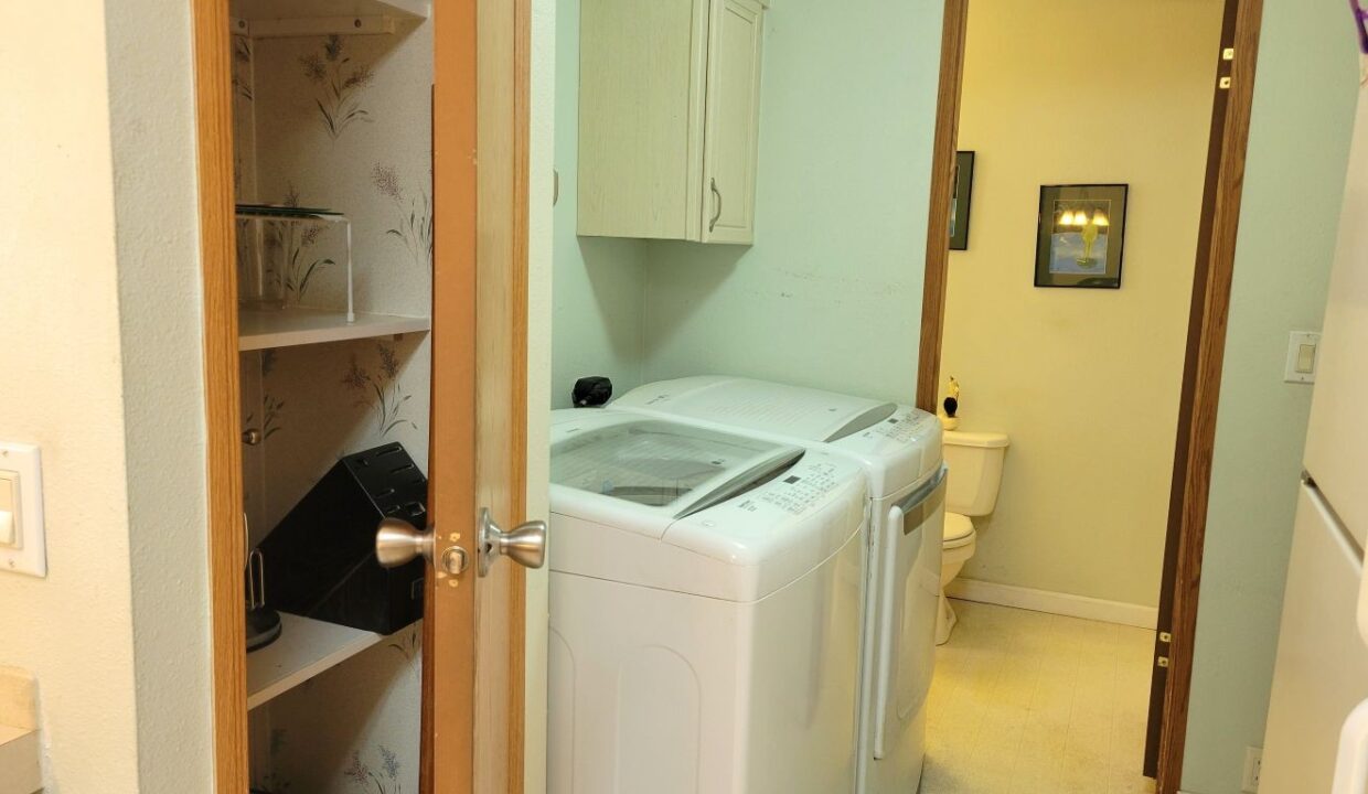 620 Yellow Cypress - sp18