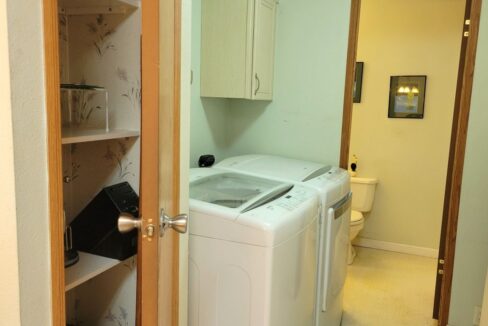 620 Yellow Cypress - sp18