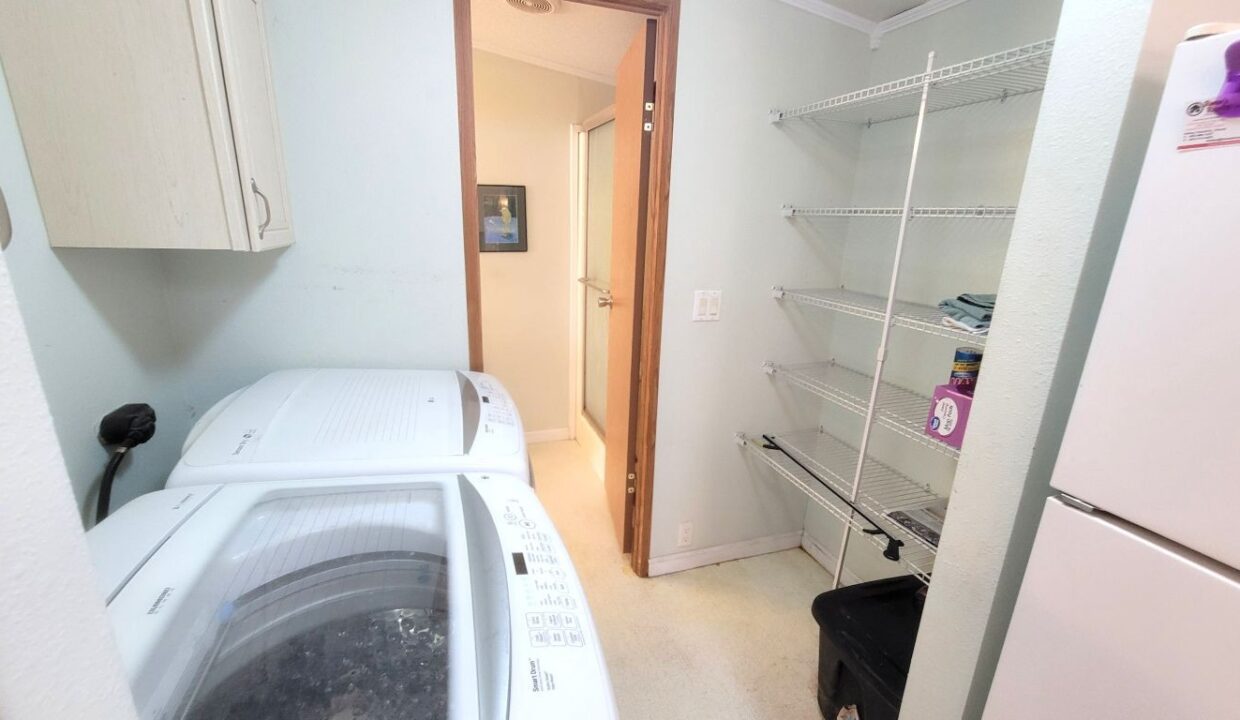 620 Yellow Cypress - sp19