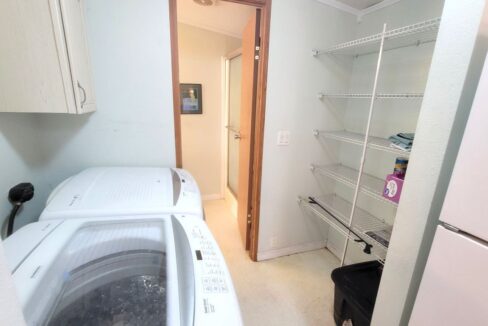 620 Yellow Cypress - sp19