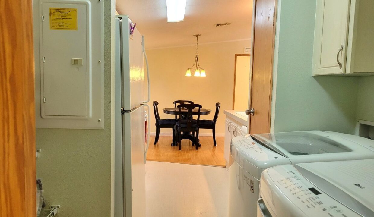 620 Yellow Cypress - sp20