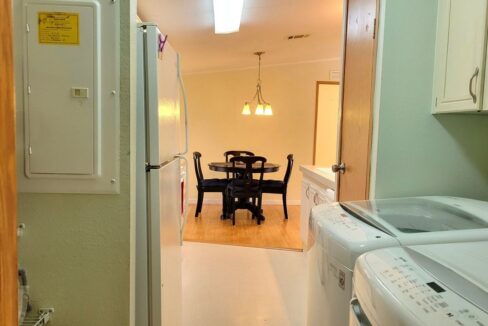 620 Yellow Cypress - sp20