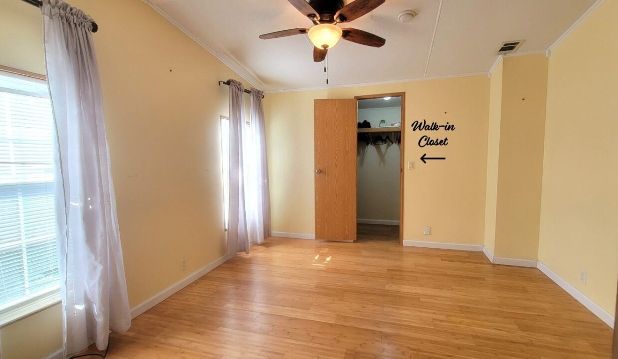 620 Yellow Cypress - sp22