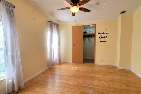 620 Yellow Cypress - sp22