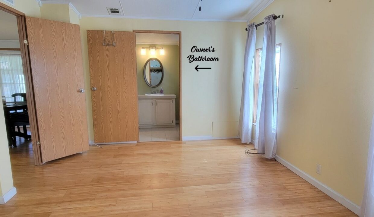 620 Yellow Cypress - sp23