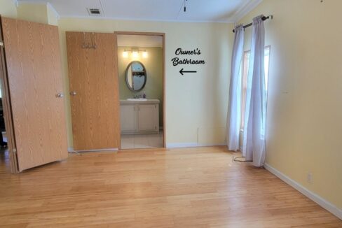 620 Yellow Cypress - sp23