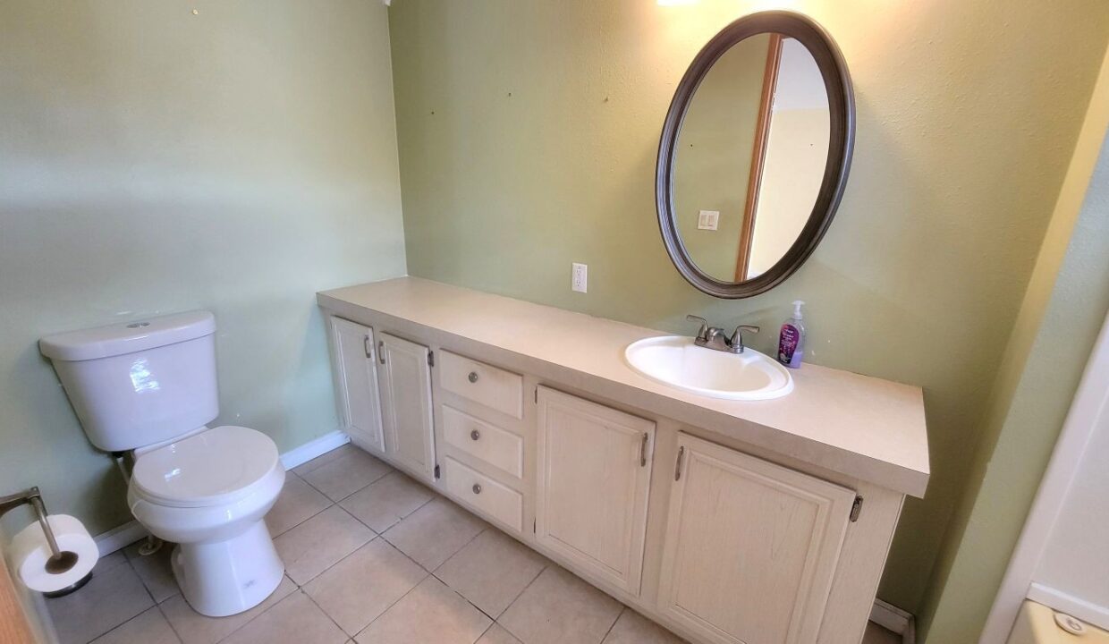 620 Yellow Cypress - sp24