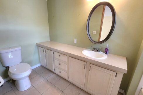 620 Yellow Cypress - sp24