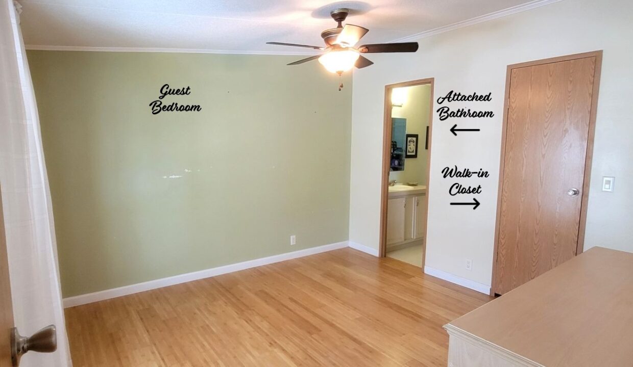 620 Yellow Cypress - sp26