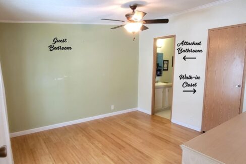 620 Yellow Cypress - sp26