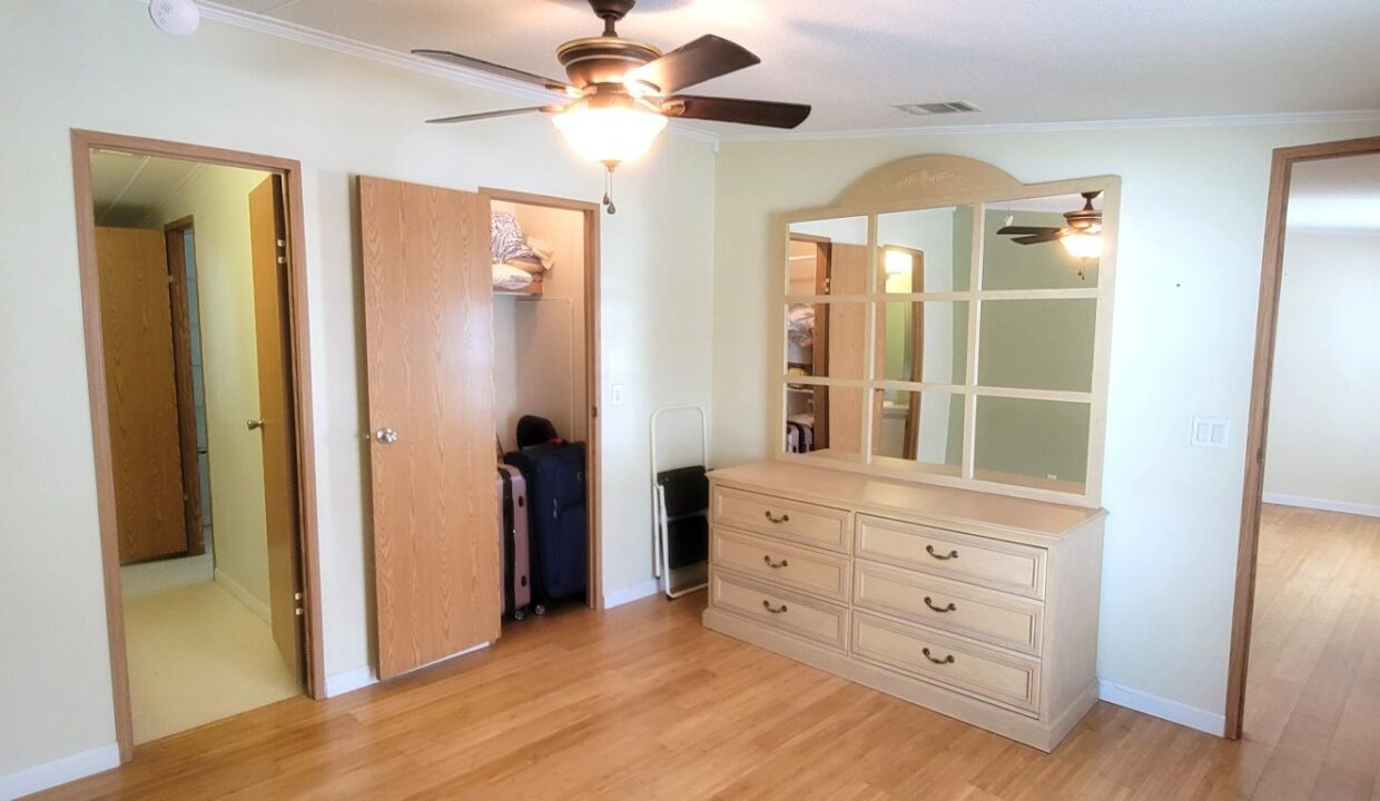 620 Yellow Cypress - sp27