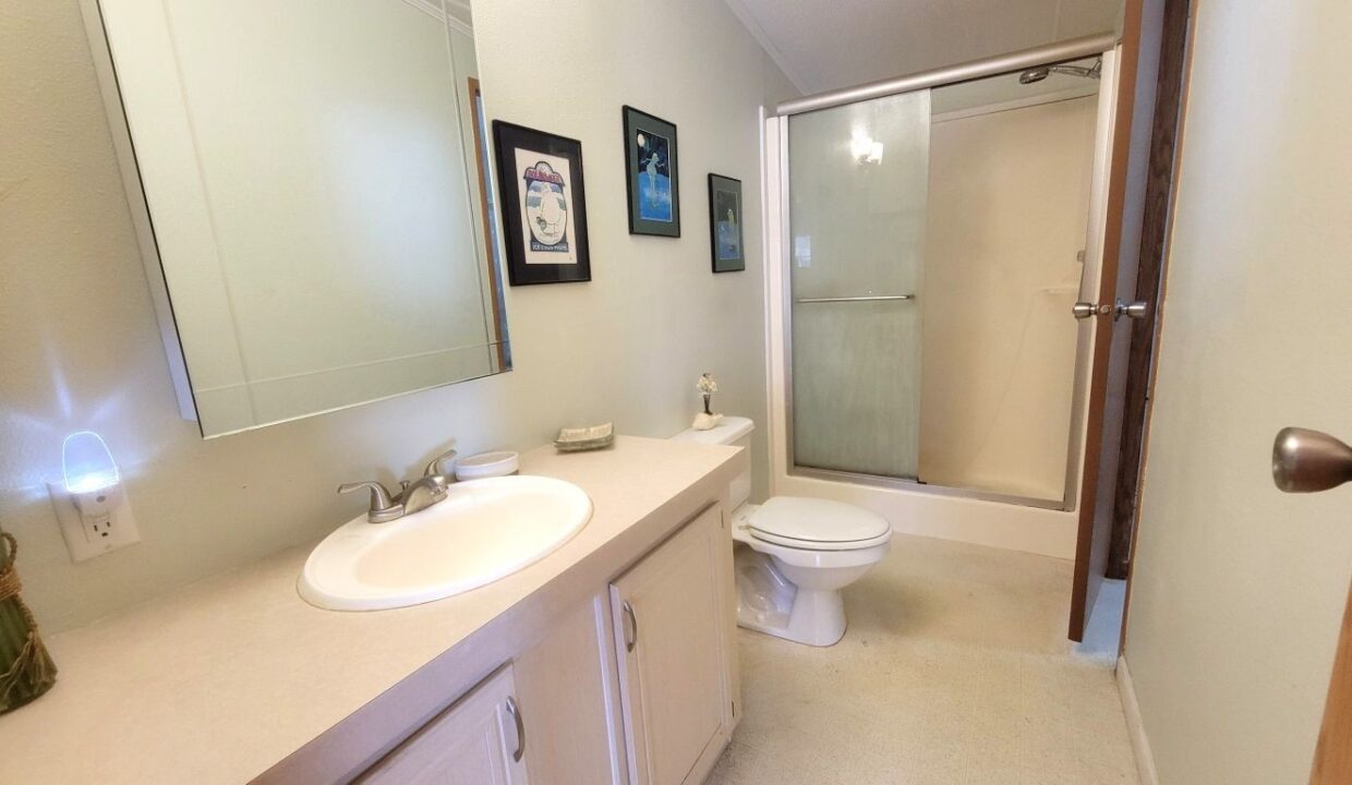 620 Yellow Cypress - sp28