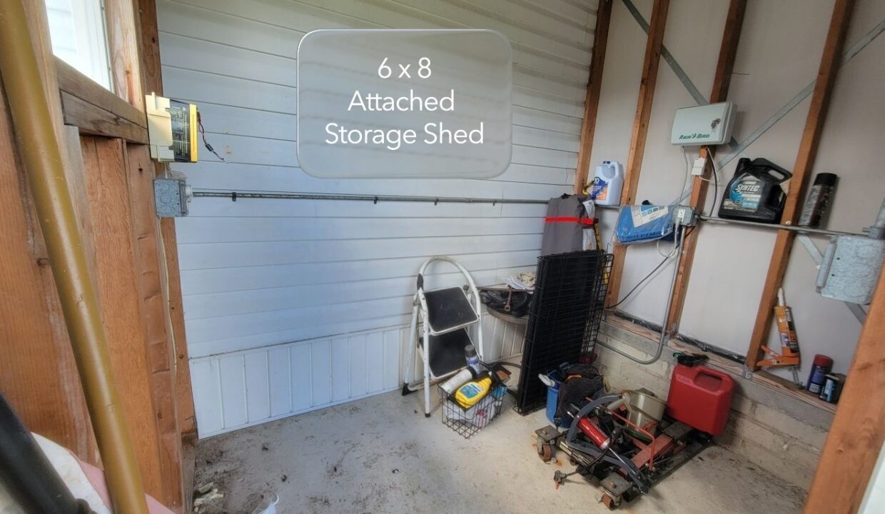 620 Yellow Cypress - sp30