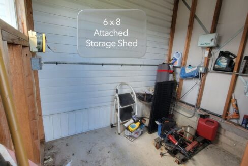 620 Yellow Cypress - sp30