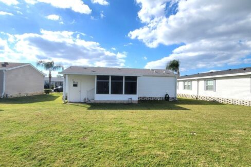 620 Yellow Cypress - sp32