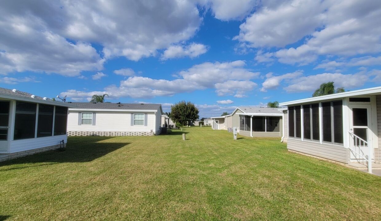 620 Yellow Cypress - sp33