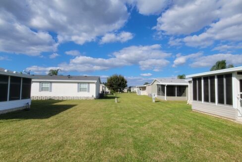 620 Yellow Cypress - sp33