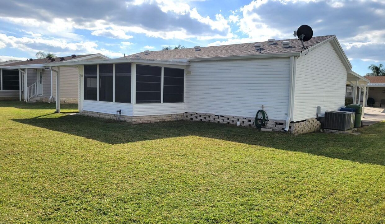 620 Yellow Cypress - sp34