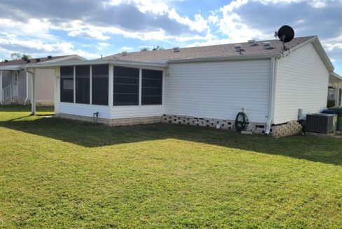 620 Yellow Cypress - sp34