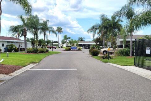 620 Yellow Cypress - sp35