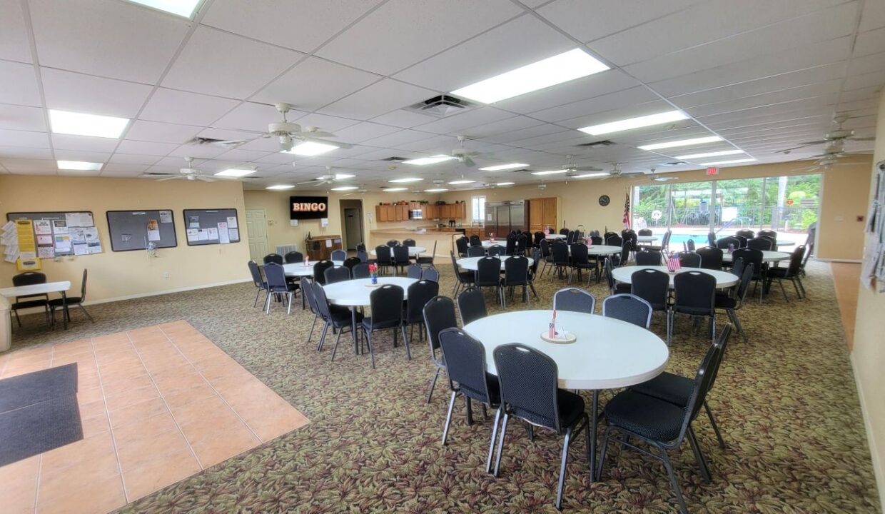 620 Yellow Cypress - sp38