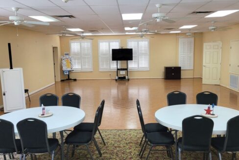 620 Yellow Cypress - sp39