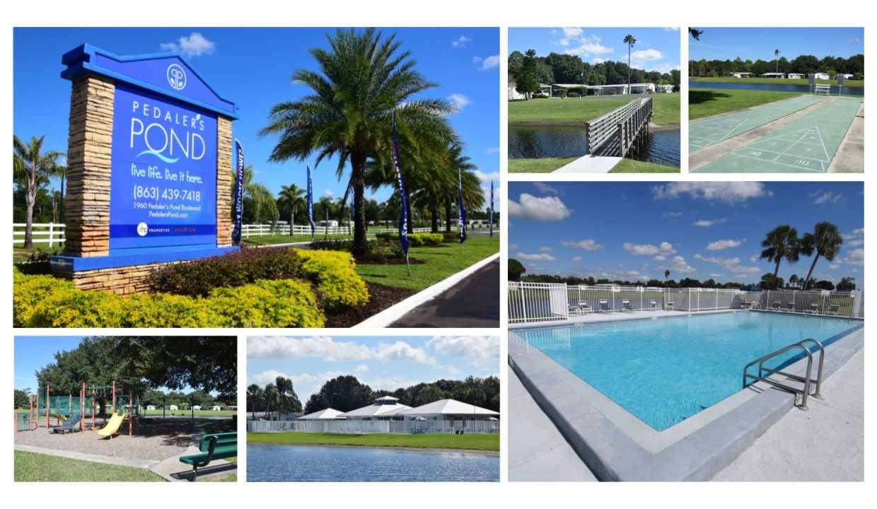 created by photogrid