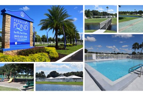 created by photogrid