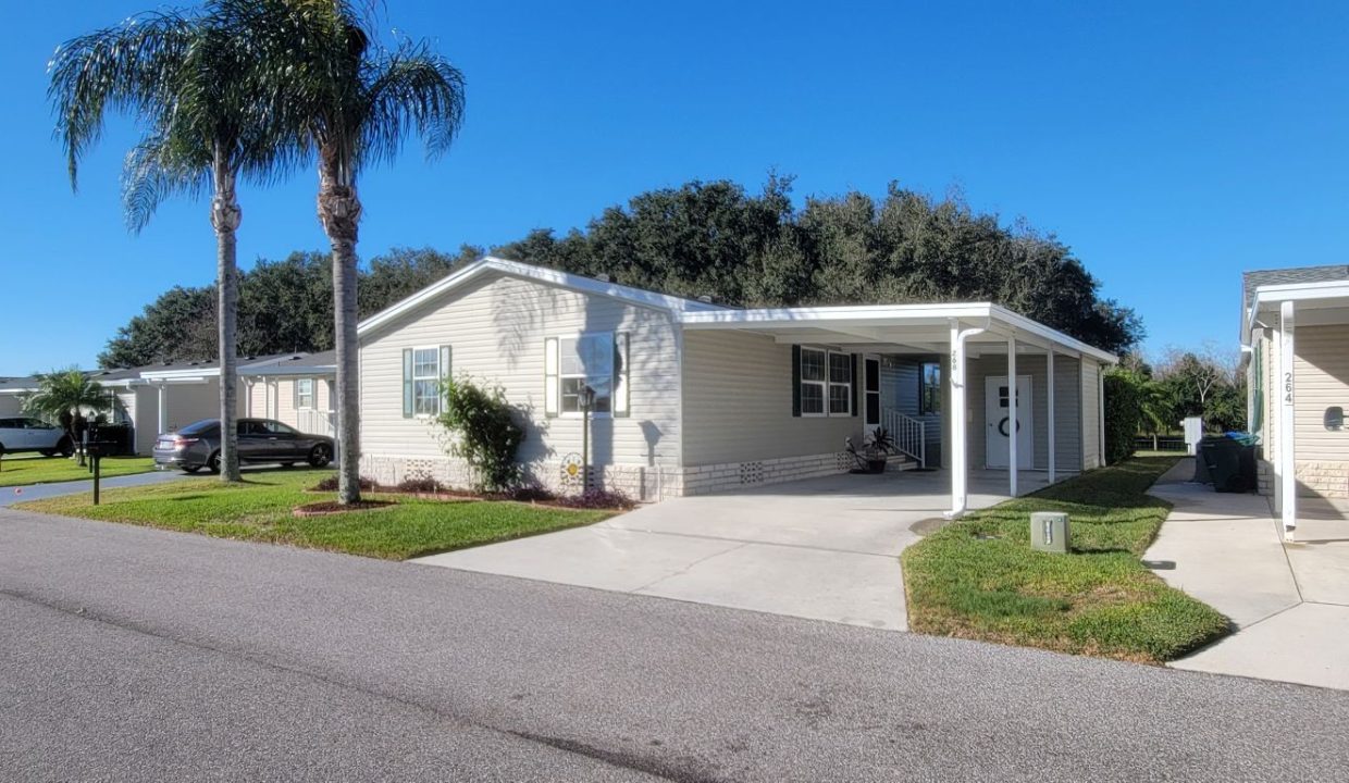 268 Monterey Cypress - sp01