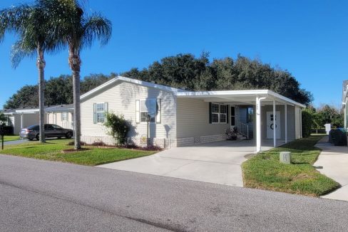 268 Monterey Cypress - sp01