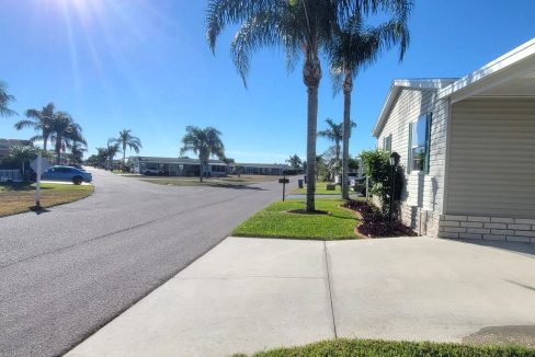 268 Monterey Cypress - sp03