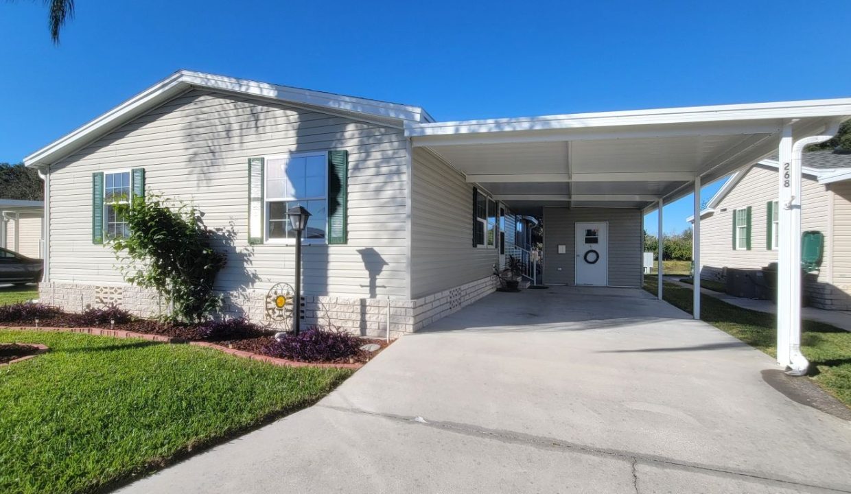 268 Monterey Cypress - sp04