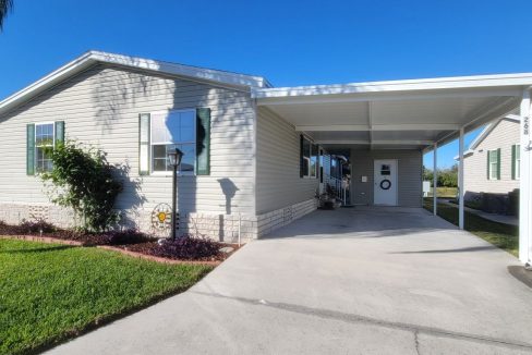 268 Monterey Cypress - sp04