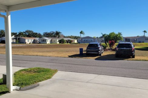 268 Monterey Cypress - sp08