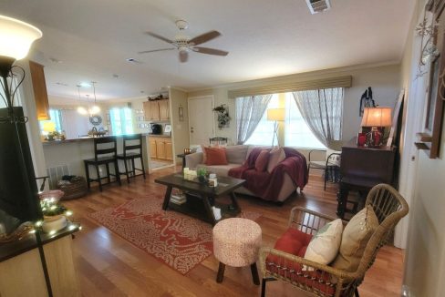 268 Monterey Cypress - sp11