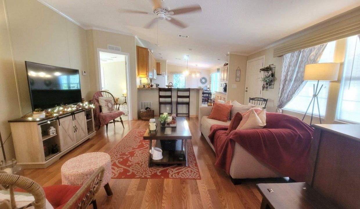 268 Monterey Cypress - sp13