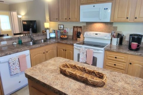 268 Monterey Cypress - sp16