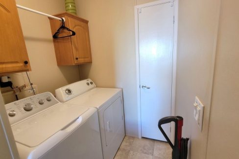 268 Monterey Cypress - sp20