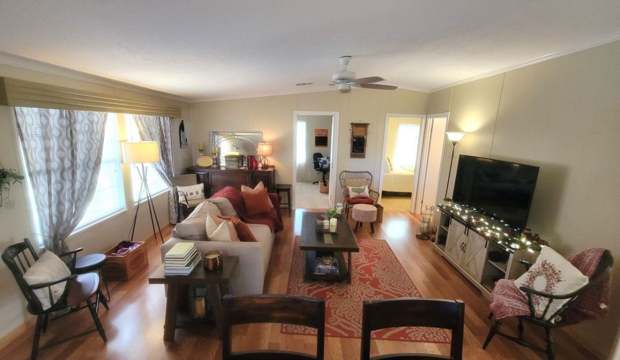 268 Monterey Cypress - sp22