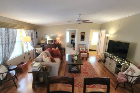 268 Monterey Cypress - sp22